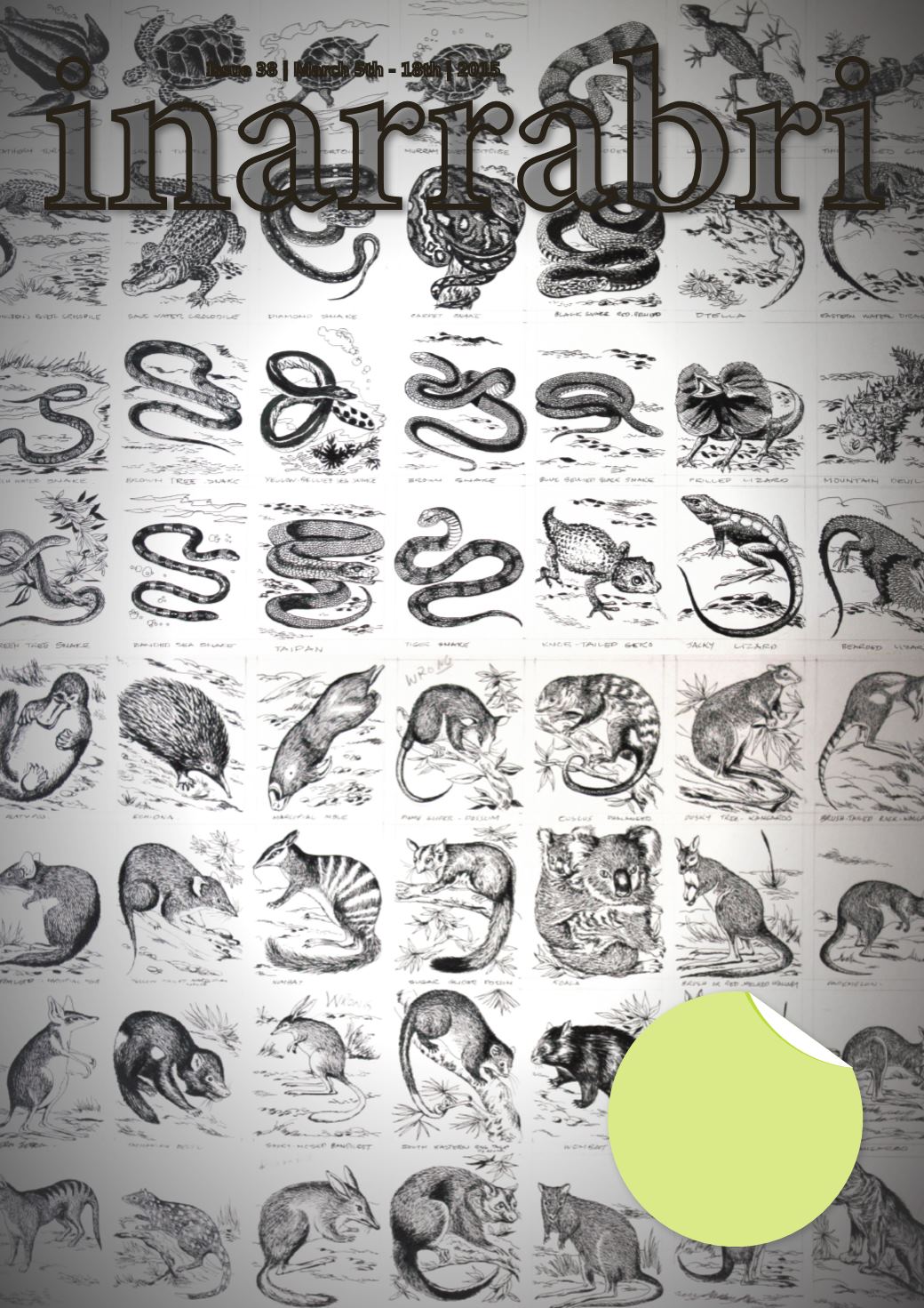 Page Background