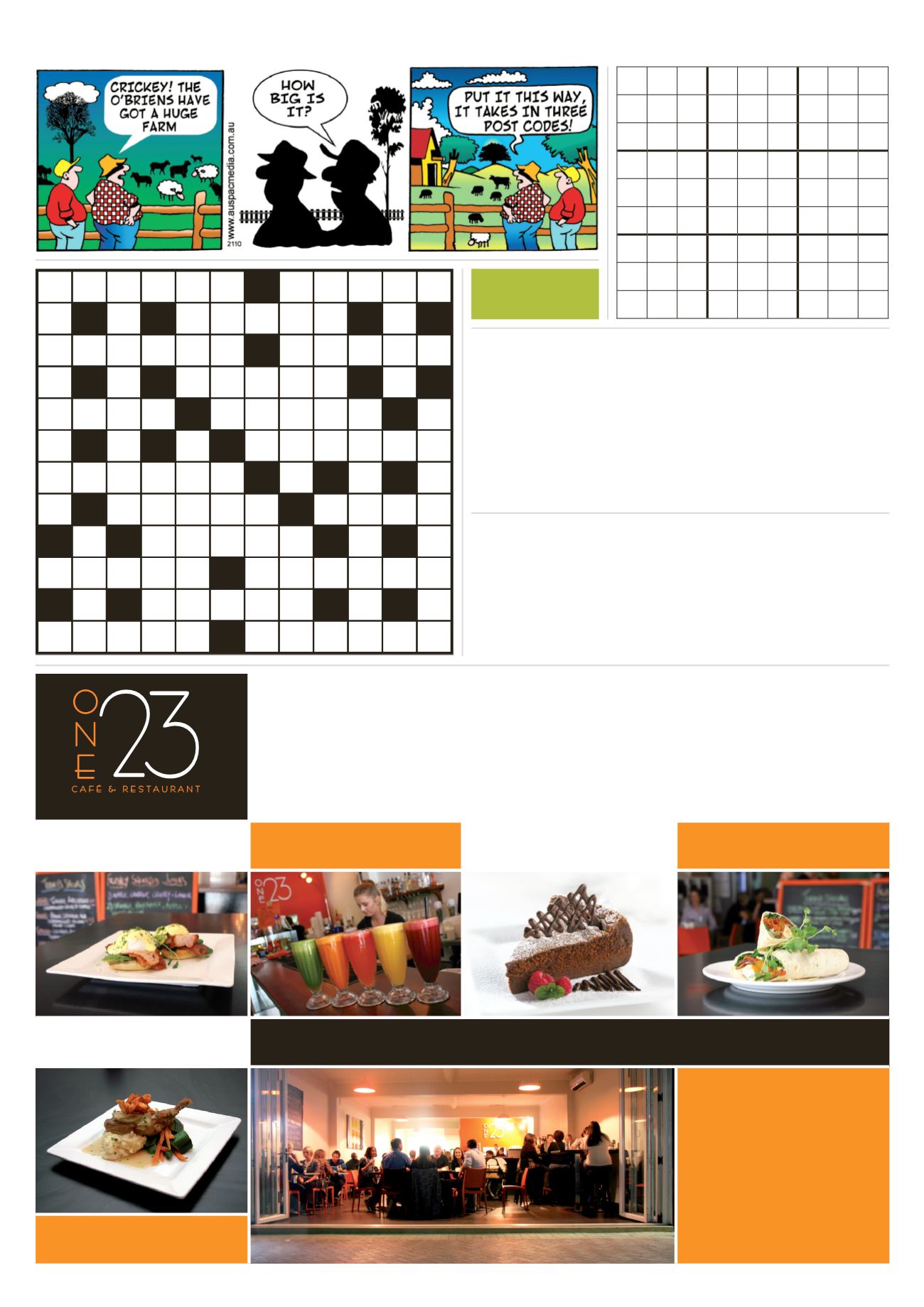 Page Background