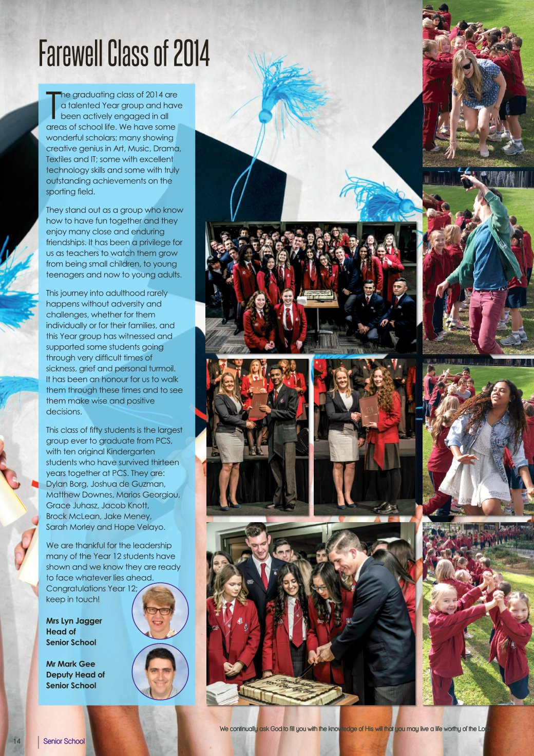 Page Background