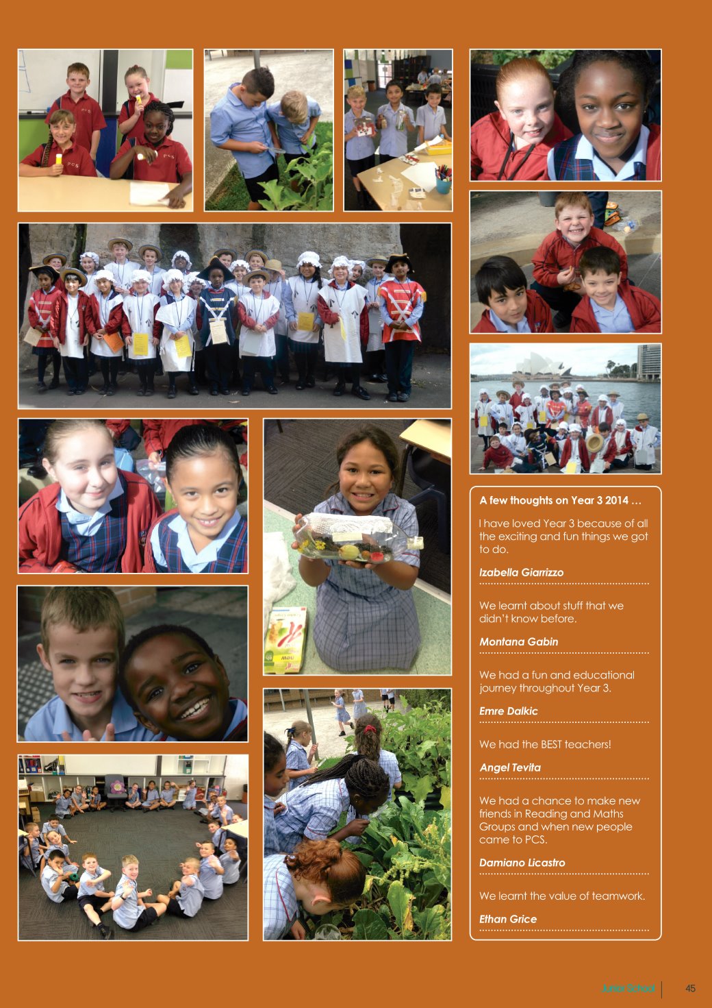 Page Background