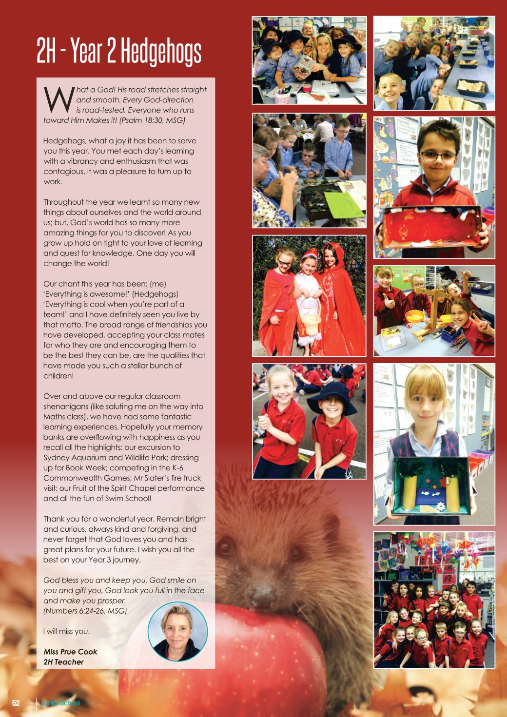 Page Background